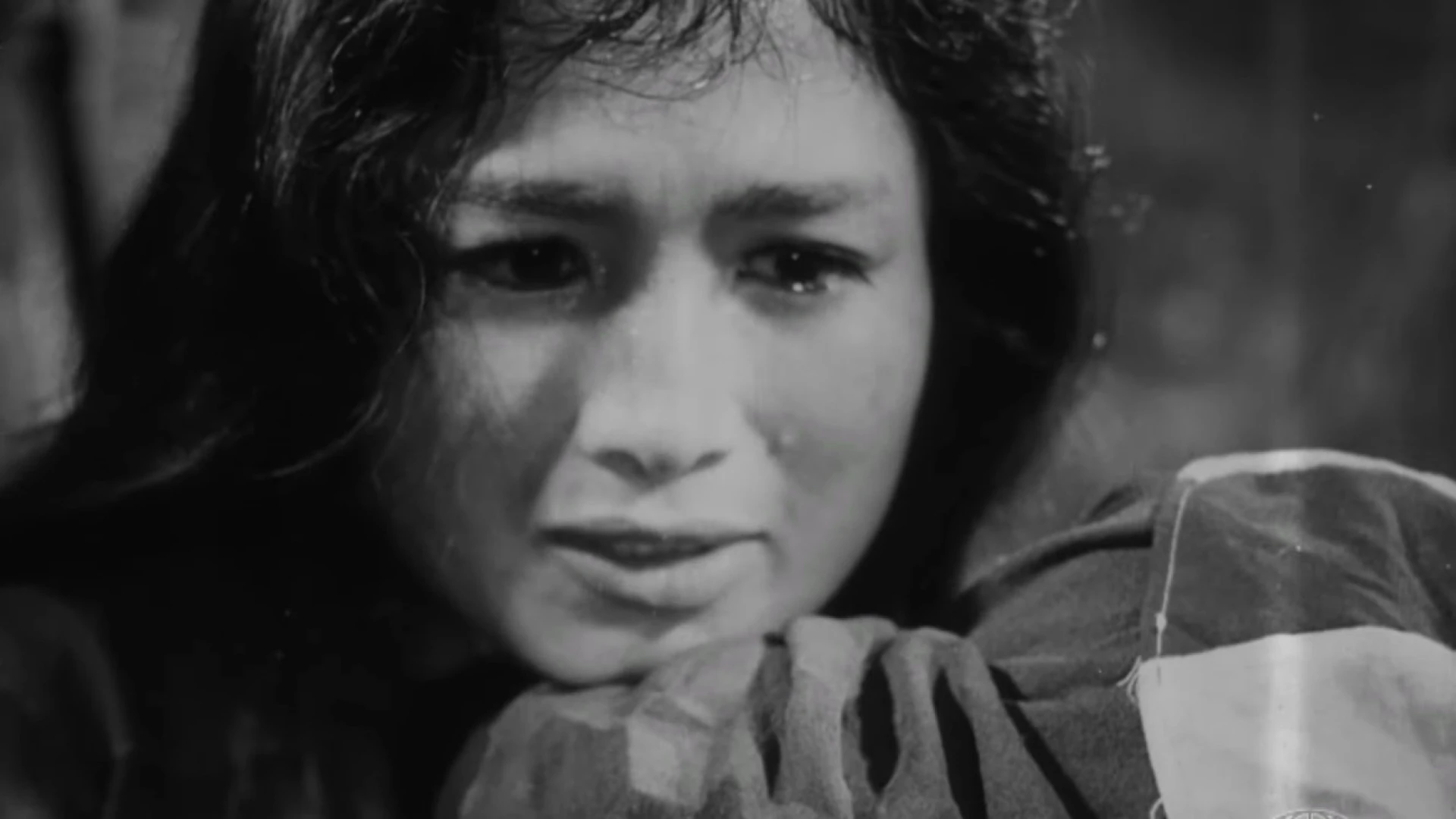 Vĩ Tuyến 17 Ngày Và Đêm